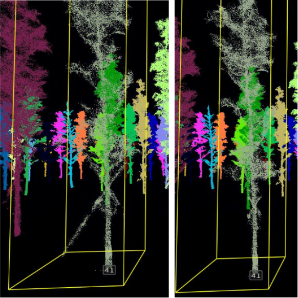forest_6.png