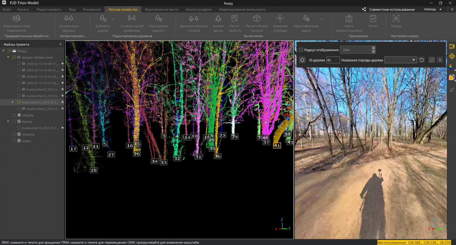 forest_4.jpg