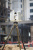 Trimble TX8 Standard